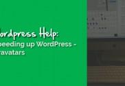 Speeding Up Wordpress - Gravatars